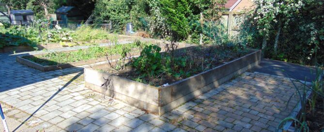 Woodley Allotments